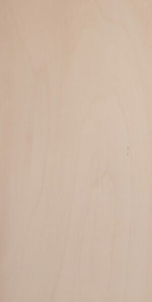 Fondo Libreria 159x71