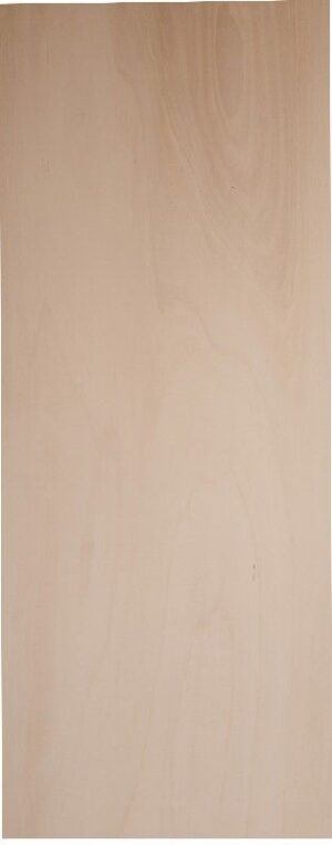 Fondo libreria 120x40