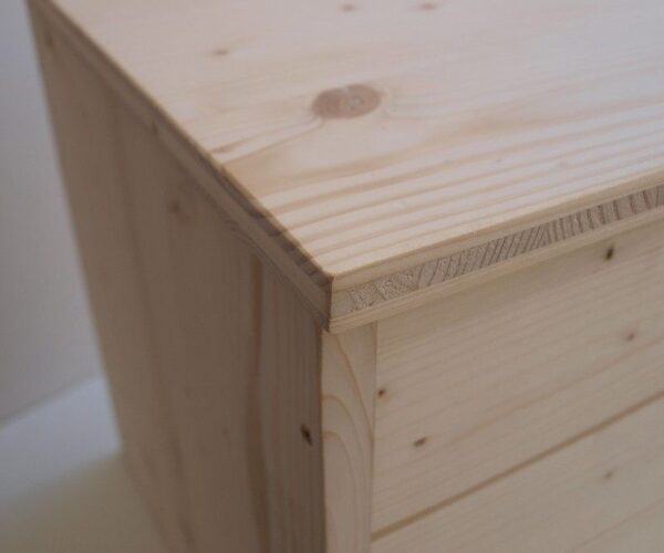 Cassapanca Eco cm.100x40 H42 - immagine 3