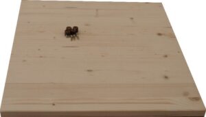 Ripiano Armadio Mini 1 cm. 37x40